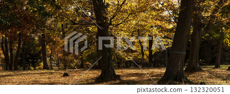 秋天里山 秋天里山 132320051