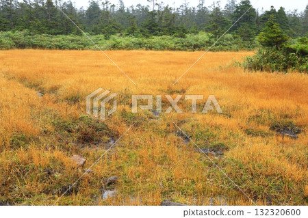八幡平:黑谷町被紅葉染紅 八幡平:黑谷町被紅葉染紅 132320600