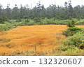 Hachimantai: Kuroyachi Marshland dyed in autumn leaves 132320607