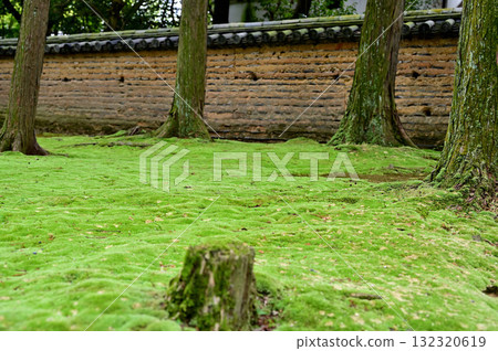 Toshodaiji Temple, Mausoleum of Monk Ganjin 132320619