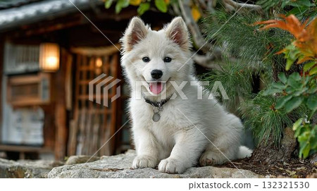 漂亮的小狗 132321530