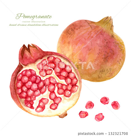 石榴果實裂成兩半的水彩插圖 132321708