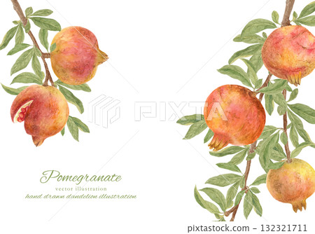 生長在樹上的石榴果實的水彩插圖 132321711