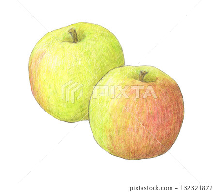 Plumley (cooking apple) Watercolor pencil illustration 132321872