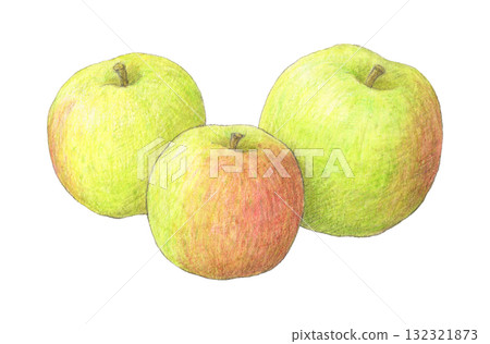 Plumley (cooking apple) Watercolor pencil illustration 132321873
