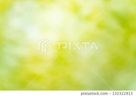 柔和的黃綠色自然漸變 132322913
