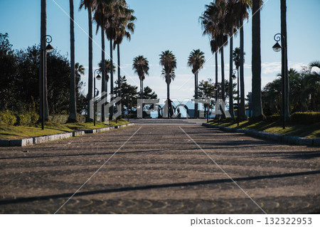 【赤穗海濱公園】雄偉的棕櫚樹,景色令人印象深刻 【赤穗海濱公園】雄偉的棕櫚樹,景色令人印象深刻 132322953