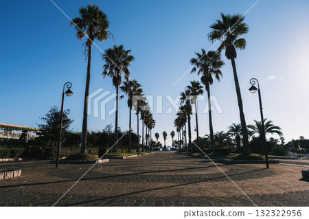 【赤穗海濱公園】雄偉的棕櫚樹，景色令人印象深刻 132322956