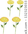 各種黃色菊花的插圖素材 132323033