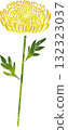 一朵黃色菊花的插圖素材 132323037