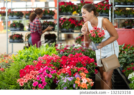 Young girl choosing vinca flower in garden-pot in plants market 132323158