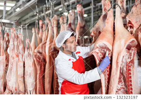 Male slaughterhouse worker using food thermometer to measure temperature of pig carcass 132323197