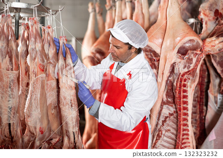 Butcher measuring temperature of lamb carcasses hanging in cold storage Butcher measuring temperature of lamb carcasses hanging in cold storage 132323232
