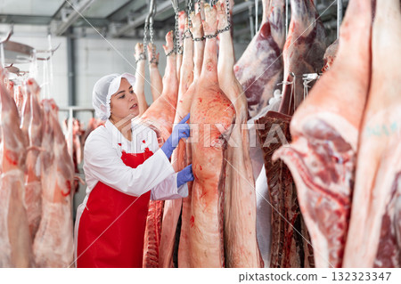Female slaughterhouse worker looking at pig carcass in meat storage 132323347