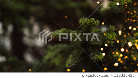 Pine branch at sunset with sparkling bokeh, Christmas background Pine branch at sunset with sparkling bokeh, Christmas background 132323425