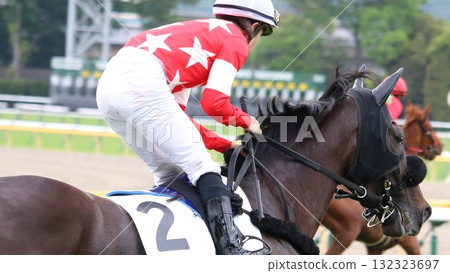 賽馬重返東京賽馬場 賽馬重返東京賽馬場 132323697
