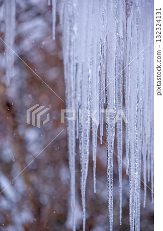 Tsurara (Hiruzen Plateau) 132324131