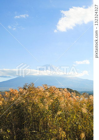 秋天的紫芒田野和雲霧繚繞的雄偉富士山 132324327