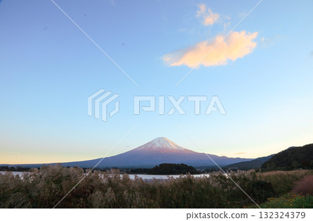 秋日風景，前景是日本的象徵富士山和閃閃發光的紫芒 132324379