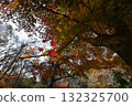 多彩的季節 132325700