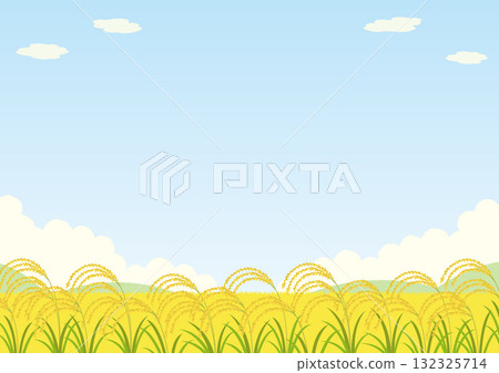 田野和成熟稻米的風景插圖 132325714