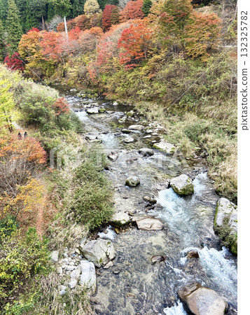 Valley dyed in autumn leaves 132325782