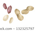 peanuts  132325797