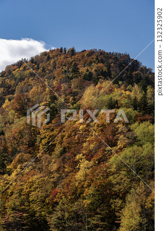 Autumn leaves of Jozankei 132325902