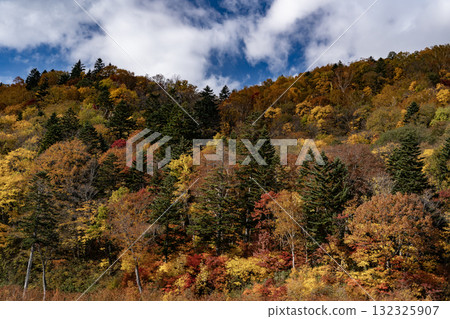 Autumn leaves of Jozankei 132325907