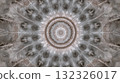 Intricate Feather Mandala Design with Soft Neutral Tones and Symmetrical Patterns 132326017