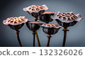 Unique Dried Lotus Seed Pods with Intricate Patterns and Textures on a Soft Background 132326026