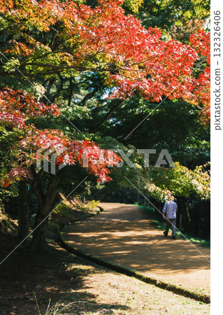 【深山公園】色彩繽紛的秋葉 【深山公園】色彩繽紛的秋葉 132326406