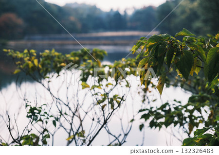 [Miyama Park] A park rich in nature 132326483