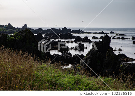 Rishiri Coast 132326516