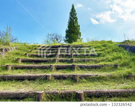 Stairs leading to the blue sky 132326542