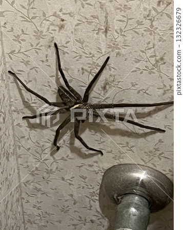 我加入了動物、食物和風景。 132326679