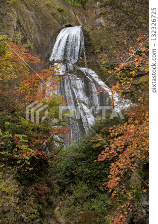 Autumn leaves and a spectacular waterfall 132326725