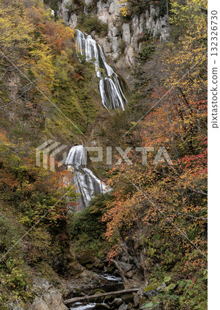 秋葉和壯觀的瀑布 132326730