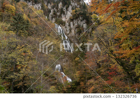 秋葉和壯觀的瀑布 132326736