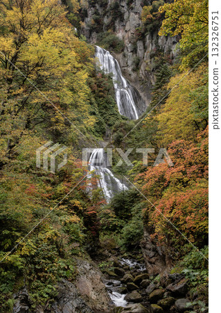 Autumn leaves and a spectacular waterfall 132326751