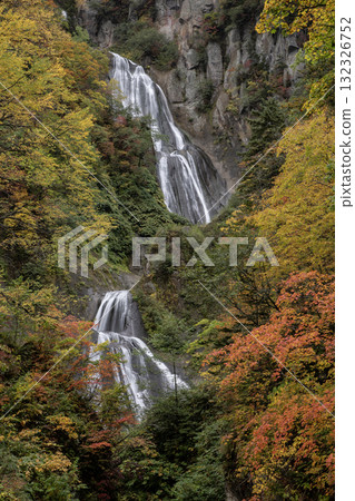 Autumn leaves and a spectacular waterfall Autumn leaves and a spectacular waterfall 132326752