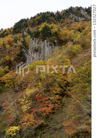 Autumn at Tenninkyo 132327027