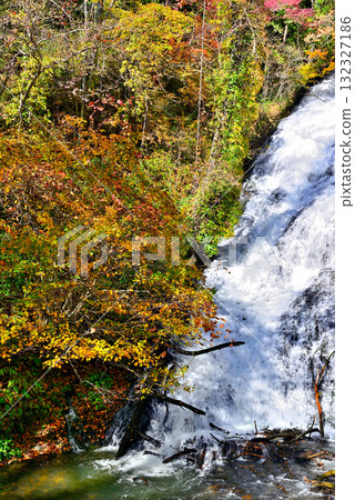 歐日光三大名瀑之一的湯滝瀑布的紅葉 歐日光三大名瀑之一的湯滝瀑布的紅葉 132327186
