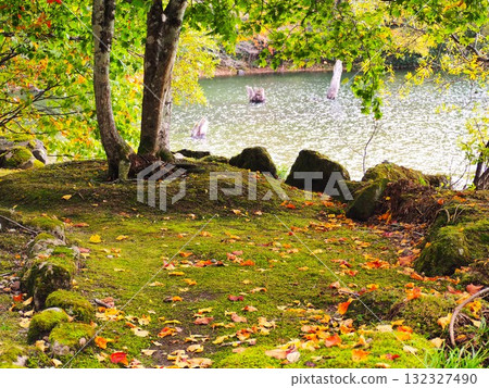 日光國立公園的丸沼 日光國立公園的丸沼 132327490