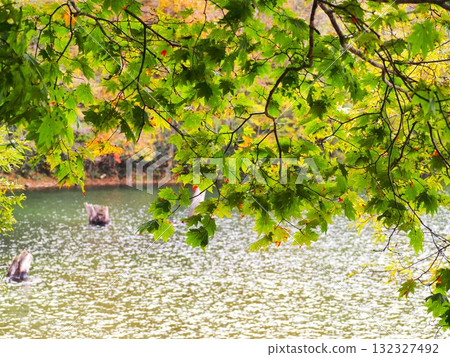 日光國立公園的丸沼 日光國立公園的丸沼 132327492