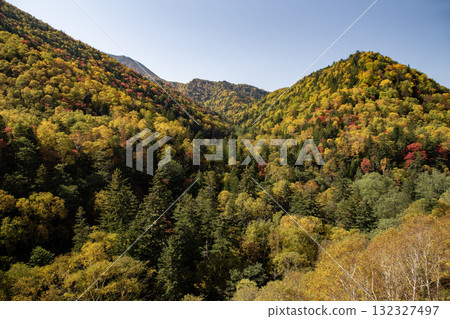 Mikuni通行證秋葉 Mikuni通行證秋葉 132327497