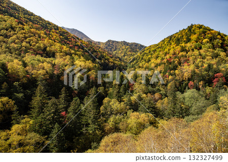 Autumn leaves of Mikuni Pass 132327499