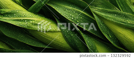Fresh green leaves with water droplets, natural texture, vibrant foliage, close up, refreshing and lush appearance Fresh green leaves with water droplets, natural texture, vibrant foliage, close up, refreshing and lush appearance 132329592