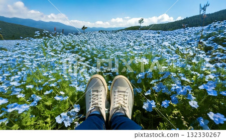 坐在觀景台上欣賞粉蝶花的壯麗景色 132330267