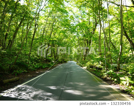 一條路穿過新鮮的綠地 一條路穿過新鮮的綠地 132330456